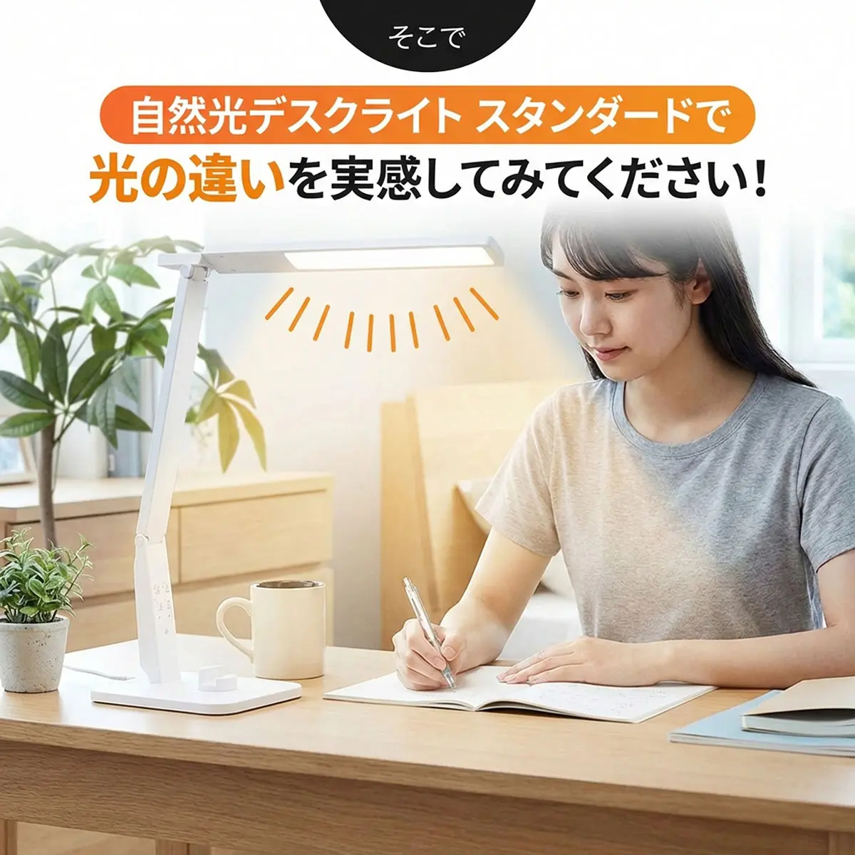 光の違いを実感