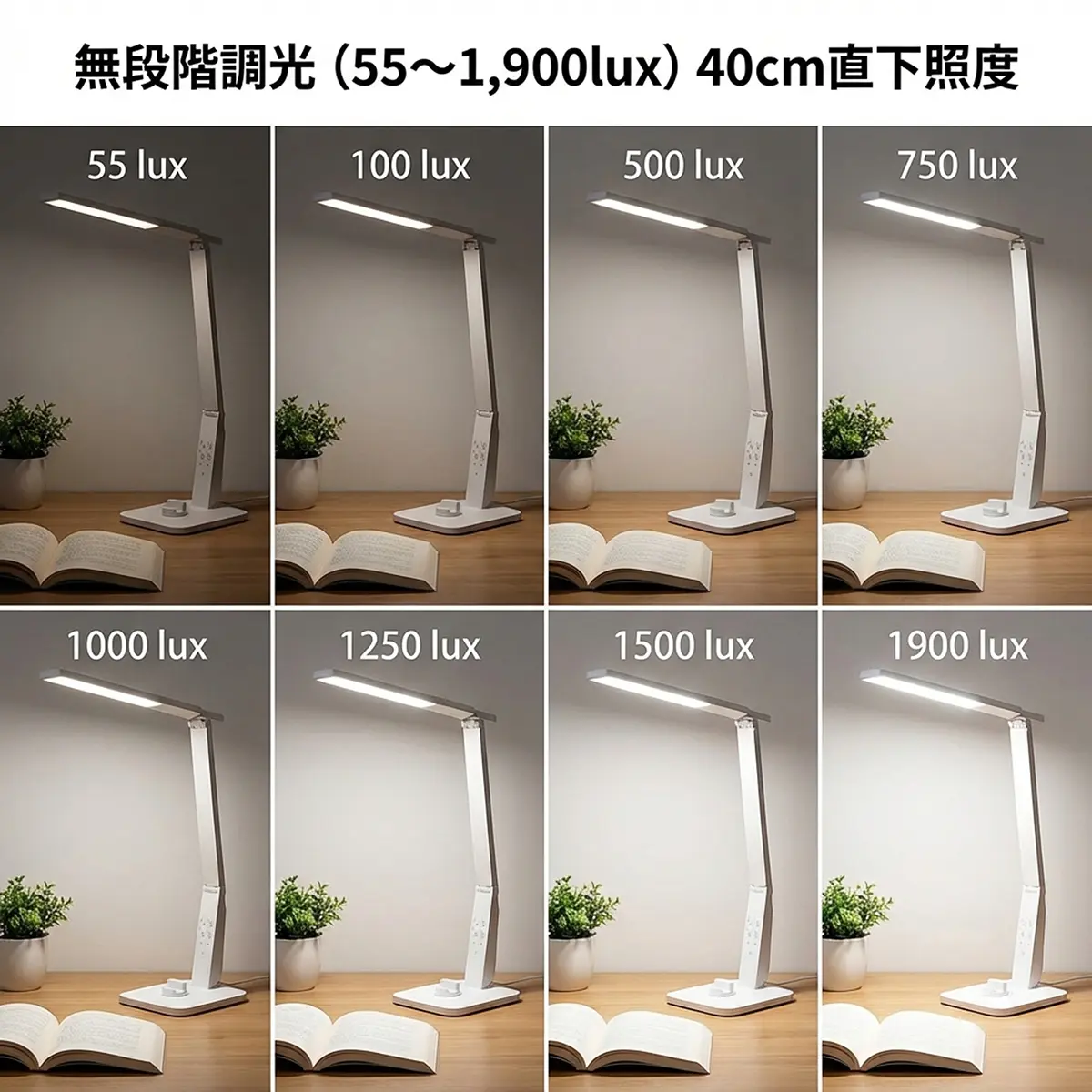 ルクスによる変化