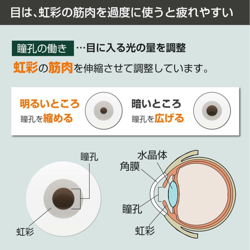 自然光デスクライト スタンダード｜目に優しい無段階調光LED 学習机や