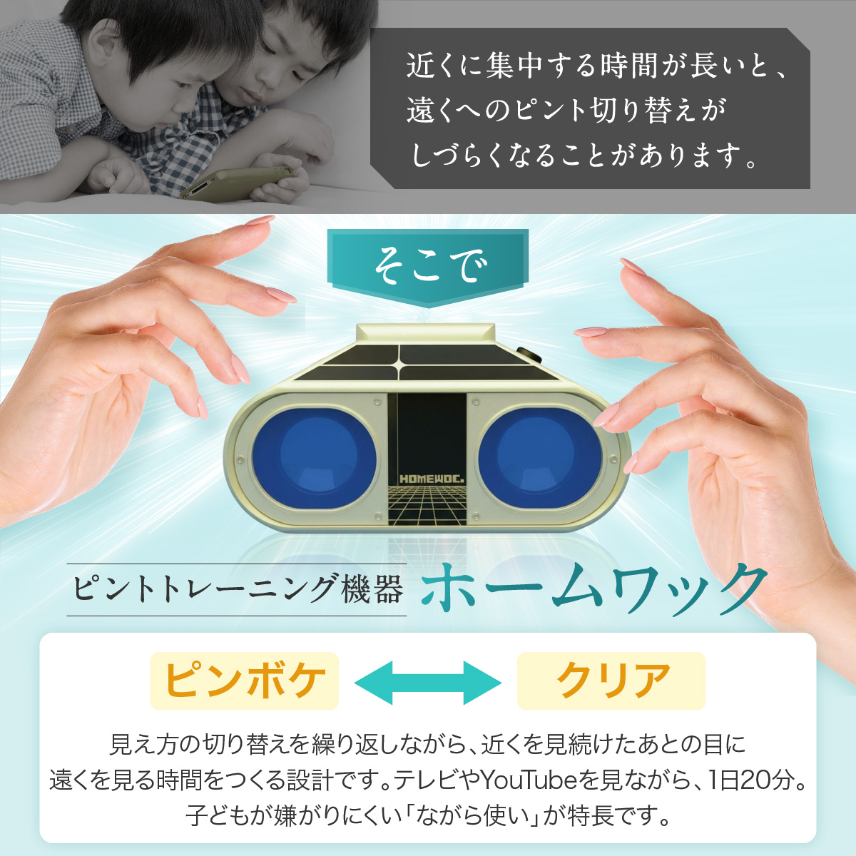 ホームワック 視力回復トレーニング 眼育総研 たおす